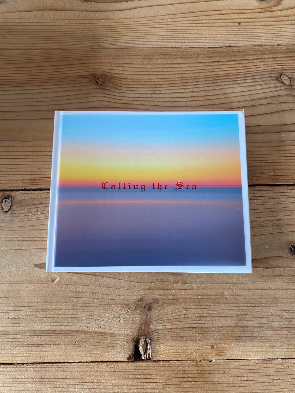 Calling the Sea/芝田 満之 – Books ＆ Gallery 海と本